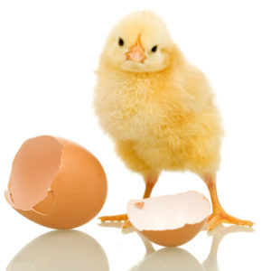 Money: the chicken or egg argument