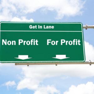 non profit vs for profit